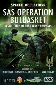 SAS Operation Bulbasket: Part 2 - Destruction of the French railways