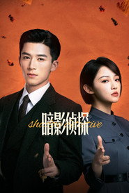 Тіньовий детектив постер