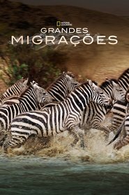 Great Migrations