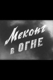 Меконг в огне