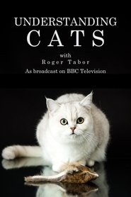 Poster Understanding Cats - Miniseries 1995