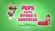 Pups Save Ryder's Surprise