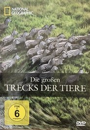 Poster National Geographic: Die großen Trecks der Tiere 2010