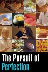 The Pursuit Of Perfection