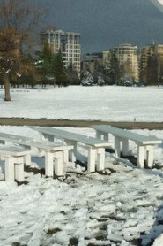 Something like Hyde Park (1989)