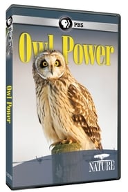 Owl Power movie