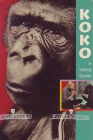 Koko: A Talking Gorilla постер