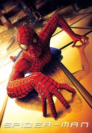 Spider Man 2002