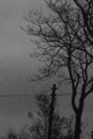 Poster Notturno 2009