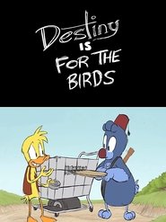 Destiny is for the Birds 2011 Безплатен неограничен достъп