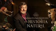 Animales Fantásticos: Una historia natural