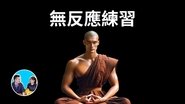 Episode 223