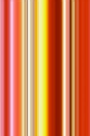 Poster Tulipa 2008