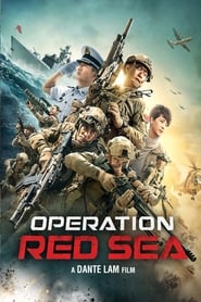 Image Operation Red Sea