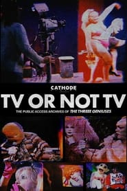 TV or Not TV: The Public Access Archives of The Threee Geniuses