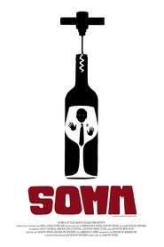 Somm (2013)