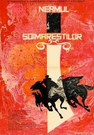 Neamul Șoimăreștilor Online Romanesc