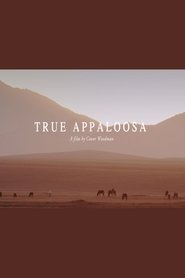 True Appaloosa