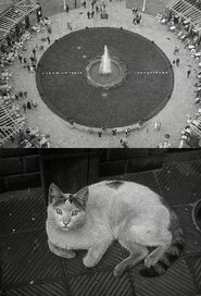 Poster Berlin Still-Life 1926