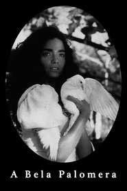 Poster Fable of the Beautiful Pigeon-Fancier 1990