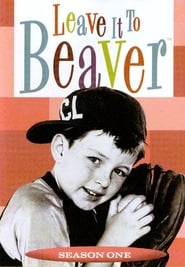 Leave It to Beaver Season 1 Episode 3