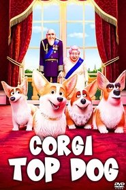 Image Corgi: Top Dog