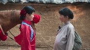 Episode 26