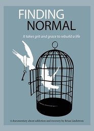 Poster Finding Normal 2007