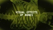 Visual Effects Of Bones