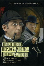 The Adventures of Sherlock Holmes and Dr. Watson (1980)