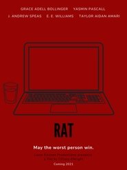 Rat
