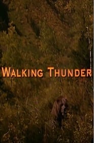 Walking Thunder постер