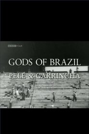 Pelé, Garrincha, dieux du Brésil streaming