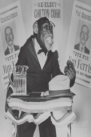 Bonzo Collection collection poster