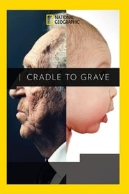 Cradle to Grave постер