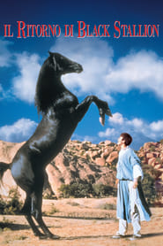 Il Ritorno di Black Stallion (1983)