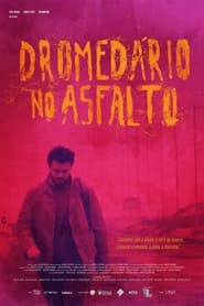 Poster Dromedário no Asfalto