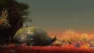 The Croods