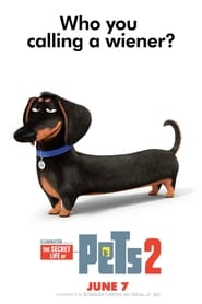 pets 2 film 2019 online sehen
