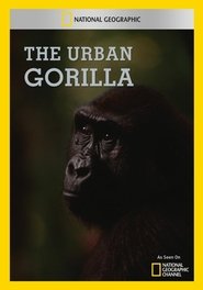 The Urban Gorilla