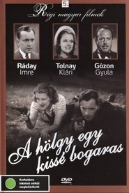 Poster A hölgy egy kissé bogaras