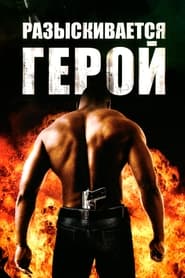 Разыскивается герой (2008)