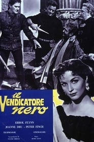 Il vendicatore nero