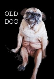 Old Dog (2017)
