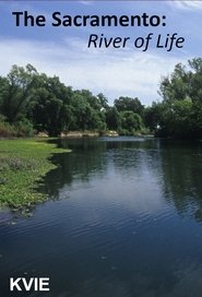 Poster The Sacramento River of Life