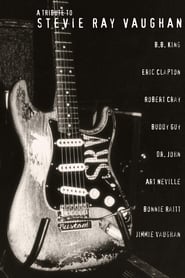 Poster A Tribute to Stevie Ray Vaughan 1996
