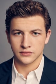 Tye Sheridan as Wade Watts / Parzival