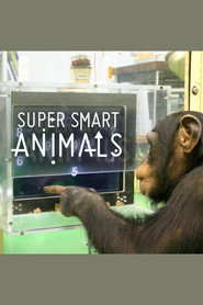 Super Smart Animals poster