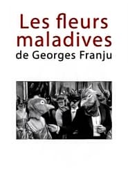 Poster Les fleurs maladives de Georges Franju