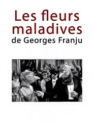 Poster Les fleurs maladives de Georges Franju 2009